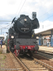 Hier nochmal ein Portrait (c) Kutting