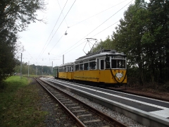 Historischer Zug 56-82-101, Boxberg, 20.09.2014, (c) D. Kirchberger