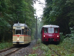 tw-215-lvt-772-140772-141-obs_bei-reinhardsbrunn-bf-_21-09-2014_c-quass