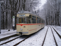Tw 215, Reinhardsbrunn Bf., 25.01.2014 (C) Schneider