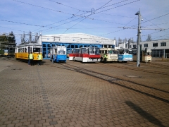 Tw-39, 215, Zug 56-82-101, DVB Ikarus 66, Ikarus 255, Fleischerbus, TWSB Behof., 12.10.2014, (c) Schneider