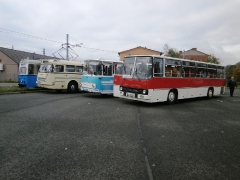 Tw 39, DVB Ikarus 66, Ikarus 255, Fleischerbus, TWSB Behof., 12.10.2014, (c) Schneider
