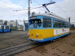 Tw 442, TWSB Behof., 12.10.2014, (c) Schneider