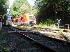 HTw 215 und VT 641 (DB) vor Reinhardsbrunn Bf., 01.10.2011 (C) Schneider