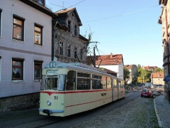 tw_215_nelkenberg_02-10-2011_quass_01