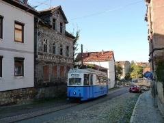 tw_39_nelkenberg_02-10-2011_quass_01