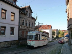 tw_47_nelkenberg_02-10-2011_quass_01