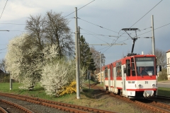 01.04.2017 | (c) Thomas Goecke