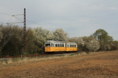 01.04.2017 | (c) Thomas Goecke