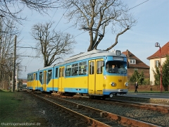 ...sogar mit Sonne. | Tw508 | (c) U. Kutting