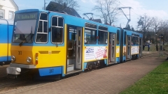 Bad Tabarz | Tw 317 | (c) A. Schneider