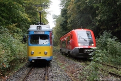 Fotosonderfahrt 10 / 2010