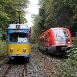 Fotosonderfahrt 10 / 2010