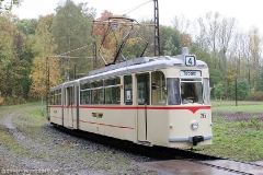 fosofa1010_uk_016_tw215