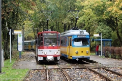 fosofa1010_uk_028_tw312_tw396_tw442