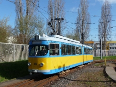 p10509291