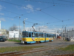 p10509611