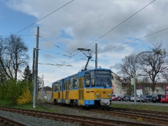 p10509641