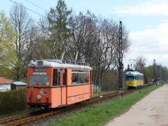 p10509721