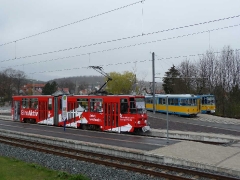p10509921