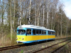 p10600041