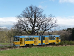 p10600051