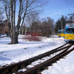 Fotosonderfahrt mit KT4D-Traktion, Tw 442 und Tw 505 16.03./23.03.2013