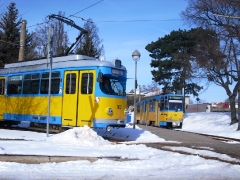 Tw 317 und Tw 505, Hst. Waltershausen Bf., 16.03.2013, (C) Schneider