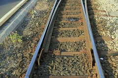 Verschlusslose Zungenvorrichtung