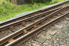 Federzungen ohne Zungenplatte