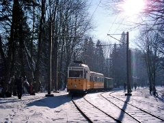 as_gth_fsf0106_tw056_02_g