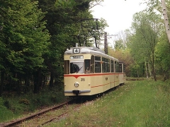 as_tw215_02_go-s-87_g