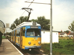 as_tw412_01_go-m-75_g