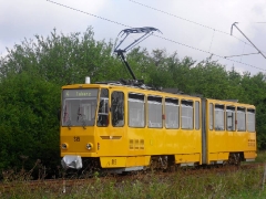 Tw 319/Ausweiche km 6,4/14.08.2010