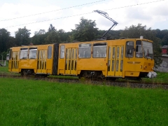 Tw 319 zw. Schnepfenthal und Waltershausen-Gleisdreieck, 14.08.2010