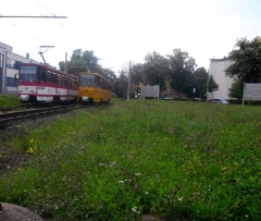 Tw 310II und 319 in der WS Gotha Ostbahnhof, 14.08.2010
