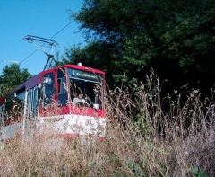 tw315_gth_schleife0706_05_g