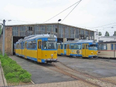 avl_gth_fosofa-0605_01_g