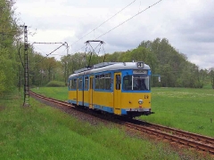 avl_gth_fosofa-0605_07_g