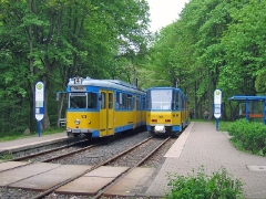 avl_gth_fosofa-0605_11_g