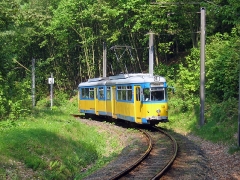 avl_gth_fosofa-0605_16_g