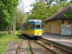 avl_gth_fosofa-0605_17_g