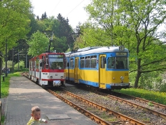 avl_gth_fosofa-0605_19_g