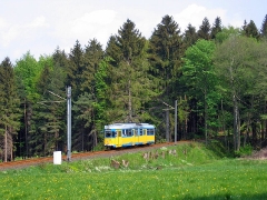 avl_gth_fosofa-0605_21_g