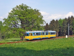 avl_gth_fosofa-0605_22_g