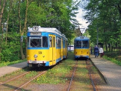 avl_gth_fosofa-0605_23_g