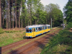 avl_gth_fosofa-0605_24_g