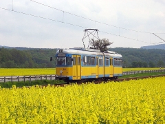 avl_gth_fosofa-0605_32_g