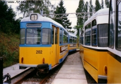 Triebwagen 202 im Depot. (7. August 1997)