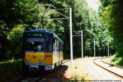 Triebwagen 301 nahe der Rheinhardsbrunner Teiche. (17. Juli 1999)